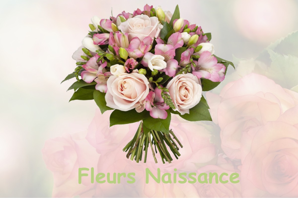 fleurs naissance SALEICH