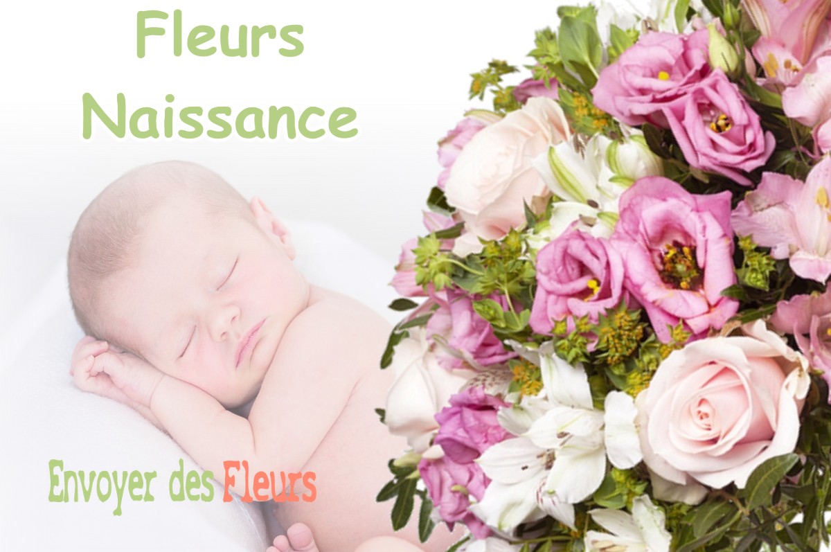 lIVRAISON FLEURS NAISSANCE à SALEICH